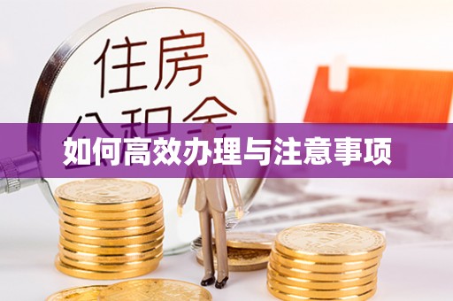 珠晖如何高效办理与注意事项