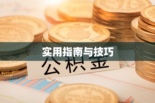 珠晖实用指南与技巧