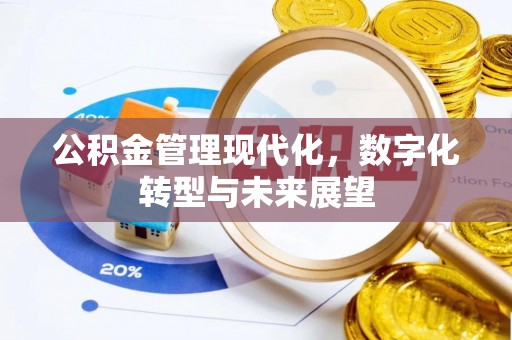 珠晖公积金管理现代化，数字化转型与未来展望