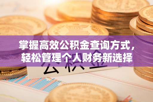 珠晖掌握高效公积金查询方式，轻松管理个人财务新选择