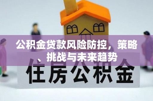 珠晖公积金贷款风险防控，策略、挑战与未来趋势