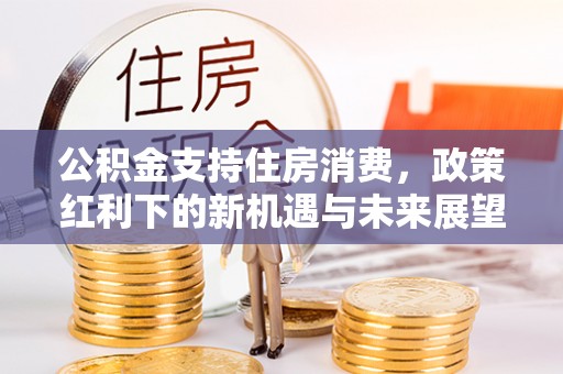 珠晖公积金支持住房消费，政策红利下的新机遇与未来展望