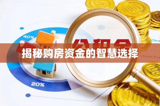 珠晖揭秘购房资金的智慧选择