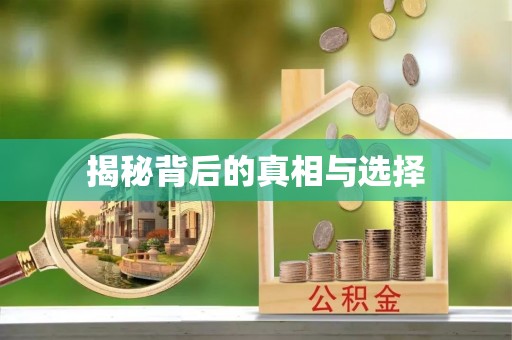 珠晖揭秘背后的真相与选择