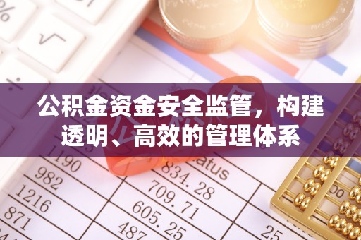珠晖公积金资金安全监管，构建透明、高效的管理体系