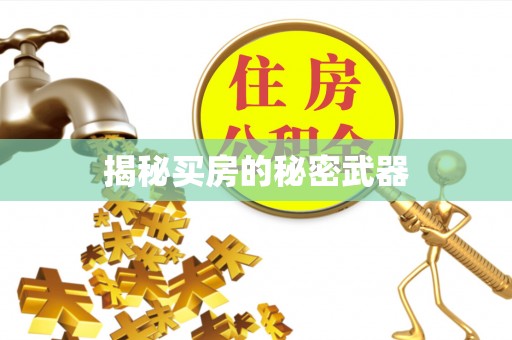 珠晖揭秘买房的秘密武器