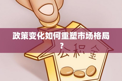 珠晖政策变化如何重塑市场格局？