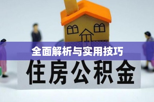 珠晖全面解析与实用技巧