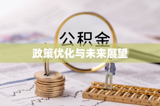 珠晖政策优化与未来展望