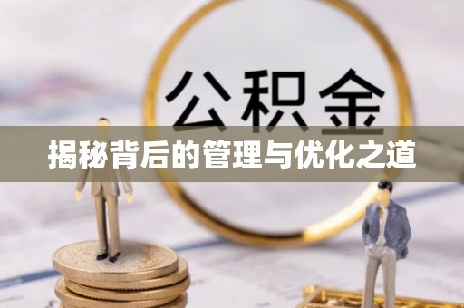 珠晖揭秘背后的管理与优化之道