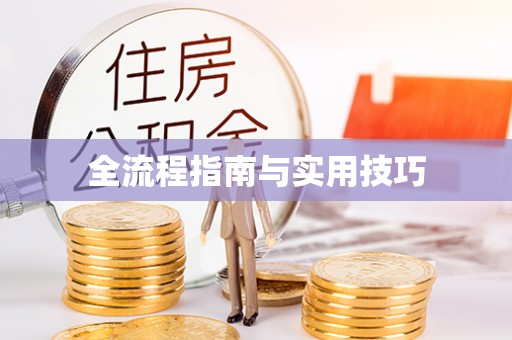 珠晖全流程指南与实用技巧