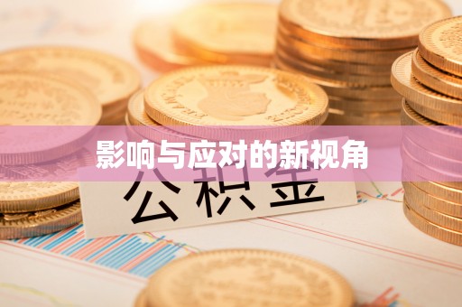 珠晖影响与应对的新视角