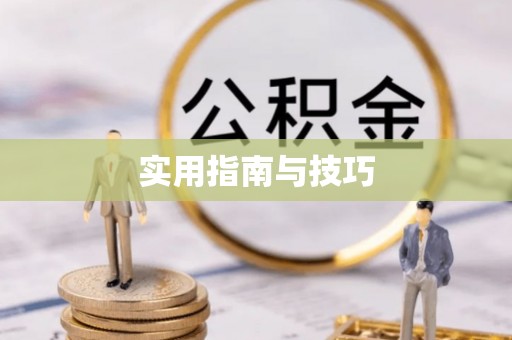 珠晖实用指南与技巧