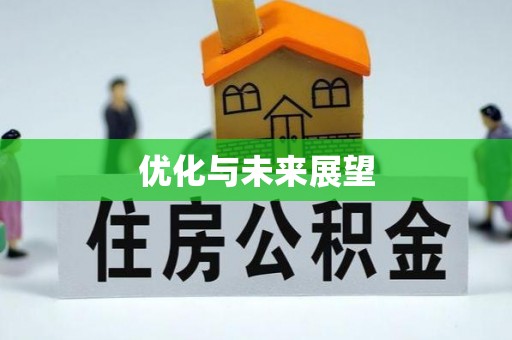 珠晖优化与未来展望