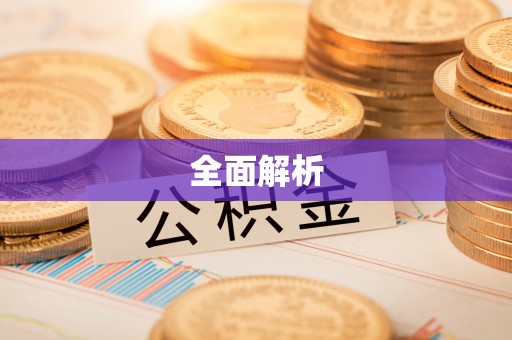 珠晖全面解析
