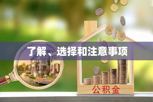 珠晖了解、选择和注意事项