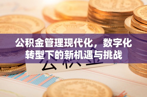 珠晖公积金管理现代化，数字化转型下的新机遇与挑战