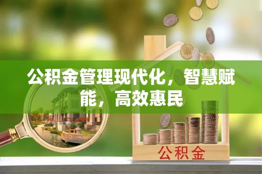 珠晖公积金管理现代化，智慧赋能，高效惠民