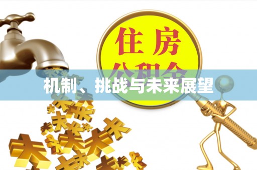 珠晖机制、挑战与未来展望