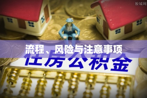 珠晖流程、风险与注意事项